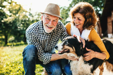 Nahaufnahme eines fröhlichen älteren Paares, das sich zusammenkauert und einen Hund streichelt. - HPIF25496