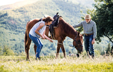 Ein glückliches älteres Paar hält ein Pferd auf einer Weide. - HPIF25503