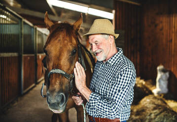 Ein fröhlicher älterer Mann mit Hut steht in der Nähe eines Pferdes in einem Stall und hält es. - HPIF25509