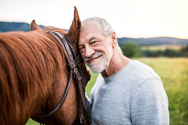 Ein glücklicher älterer Mann, der draußen in der Natur neben einem Pferd steht und es hält. - HPIF25542