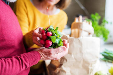 Unrecognizable senior couple unpacking food in the kitchen. An old man and woman inside the house. - HPIF25548