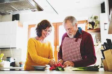 Älteres Ehepaar bei der Essenszubereitung in der Küche, ein alter Mann und eine alte Frau im Haus. - HPIF25551