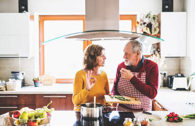 Älteres Ehepaar bei der Essenszubereitung in der Küche, ein alter Mann und eine alte Frau im Haus. - HPIF25555