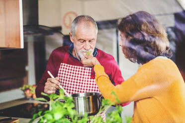 Älteres Ehepaar bei der Essenszubereitung in der Küche. Ein alter Mann und eine alte Frau im Haus. Aufnahme durch Glas. - HPIF25557