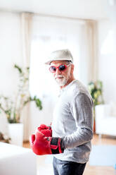A crazy senior man with boxing gloves having fun at home. - HPIF25589
