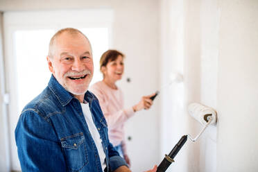 Glückliches älteres Ehepaar streicht Wände im neuen Haus, Umzugskonzept. - HPIF25606