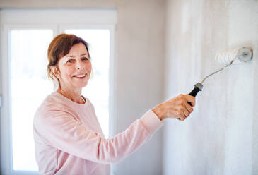 Portrait of cheerful senior woman painting walls in new home, having fun. Relocation concept. - HPIF25612