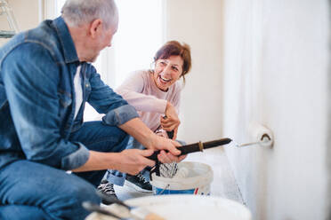Glückliches älteres Ehepaar streicht Wände im neuen Haus, Umzugskonzept. - HPIF25613