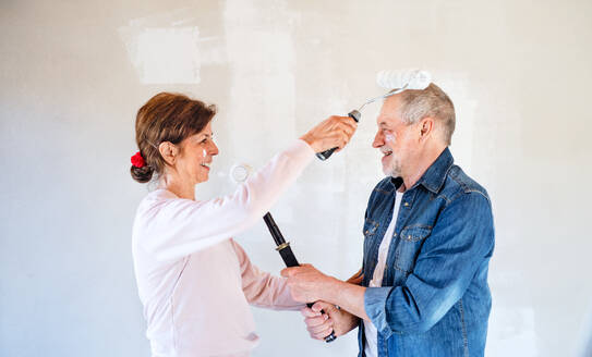 Glückliches älteres Ehepaar, das in seinem neuen Haus die Wände streicht und Spaß hat. - HPIF25621