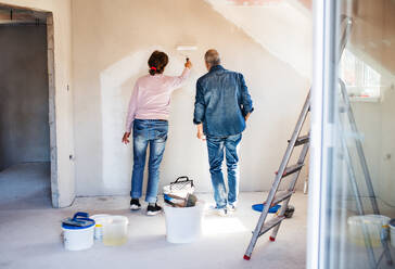 A rear view of senior couple painting walls in new home, relocation concept. - HPIF25629