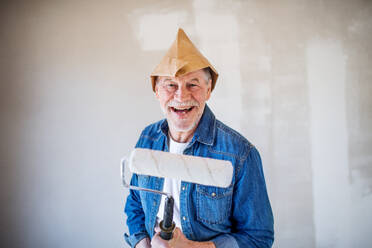 Porträt eines fröhlichen älteren Mannes, der in seinem neuen Haus Wände streicht und in die Kamera schaut. - HPIF25648