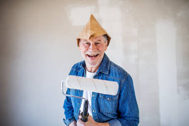 Portrait of cheerful senior man painting walls in new home, looking at camera. Relocation concept. - HPIF25648