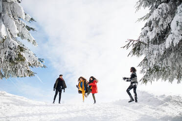 Eine Gruppe junger, fröhlicher Freunde auf einem Spaziergang im Schnee im Winterwald, die Spaß haben. - HPIF25819
