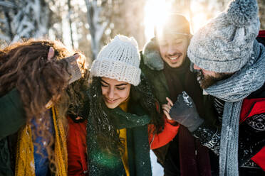 Eine Gruppe junger, fröhlicher Freunde auf einem Spaziergang im Schnee im Winterwald, die Spaß haben. - HPIF25830