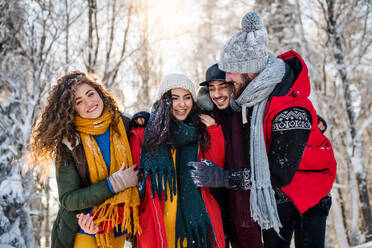 Eine Gruppe junger, fröhlicher Freunde auf einem Spaziergang im Schnee im Winterwald, zu Fuß. - HPIF25831