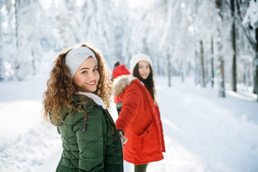 Rückansicht von jungen, fröhlichen Freunden bei einem Spaziergang im Schnee im Winterwald, mit Blick zurück. - HPIF25852
