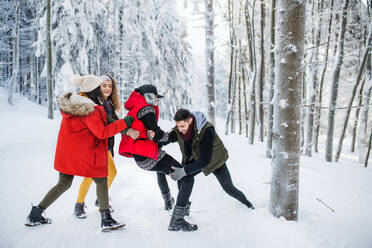 Eine Gruppe junger, fröhlicher Freunde auf einem Spaziergang im Schnee im Winterwald, die Spaß haben. - HPIF25854