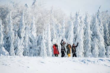 A group of young cheerful friends on a walk outdoors in snow in winter forest, waving. - HPIF25862