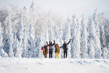 Eine Gruppe junger, fröhlicher Freunde bei einem Winterspaziergang im Schnee, stehend und in die Kamera blickend. - HPIF25863