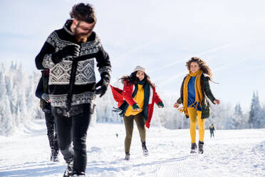 Eine Gruppe junger, fröhlicher Freunde auf einem Spaziergang im Schnee im Winterwald, die Spaß haben. - HPIF25865