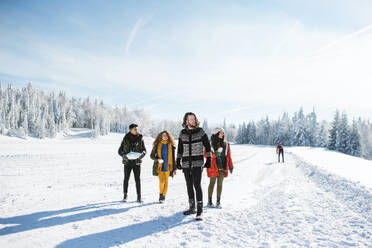 Eine Gruppe junger, fröhlicher Freunde auf einem Spaziergang im Schnee im Winterwald, zu Fuß. - HPIF25866