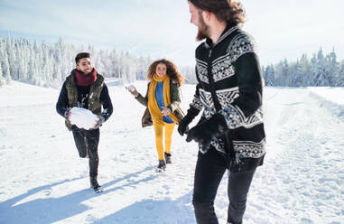 Eine Gruppe junger, fröhlicher Freunde auf einem Spaziergang im Schnee im Winterwald, die Spaß haben. - HPIF25870