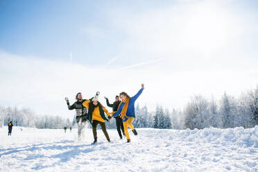 Eine Gruppe junger, fröhlicher Freunde auf einem Spaziergang im Schnee im Winterwald, die Spaß haben. - HPIF25874