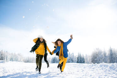 Eine Gruppe junger, fröhlicher Freunde auf einem Spaziergang im Schnee im Winterwald, die Spaß haben. - HPIF25875