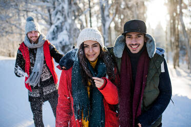 Eine Gruppe junger, fröhlicher Freunde auf einem Spaziergang im Schnee im Winterwald, die Spaß haben. - HPIF25906