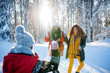 Eine Gruppe junger, fröhlicher Freunde auf einem Spaziergang im Schnee im Winterwald, die Spaß haben. - HPIF25908