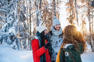 Eine Gruppe fröhlicher junger Freunde, die draußen im Schnee im Winterwald stehen und Spaß haben. - HPIF25929