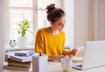 A young happy college female student sitting at the table at home, using laptop when studying. - HPIF26233