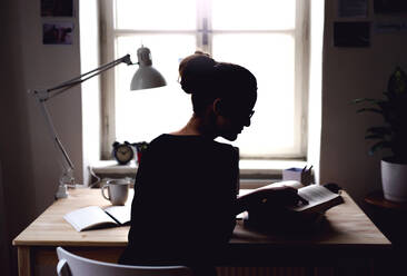 Eine Rückansicht der Silhouette einer jungen Studentin, die am Tisch sitzt und lernt. - HPIF26258