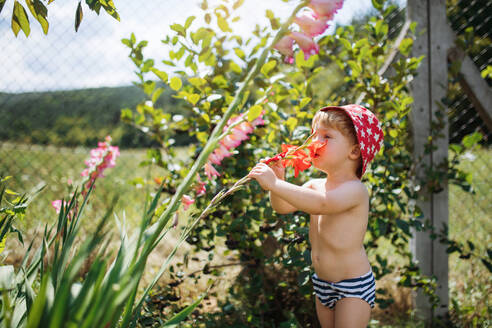 Ein kleiner Junge mit einem Hut steht im Sommer oben ohne im Garten und riecht an Blumen. - HPIF26378