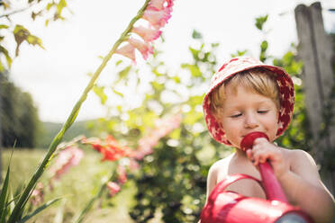 Ein kleiner Junge mit Hut und Gießkanne, der im Sommer oben ohne im Garten steht. Raum kopieren. - HPIF26381