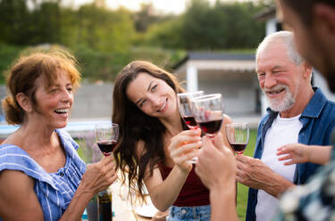 Portrait of people with wine outdoors on family garden barbecue, clinking glasses. - HPIF26451