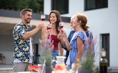 Porträt von Menschen mit Wein im Freien auf Familie Garten Grill, klirren Gläser. - HPIF26457