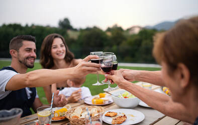 Portrait of people with wine outdoors on family garden barbecue, clinking glasses. - HPIF26485