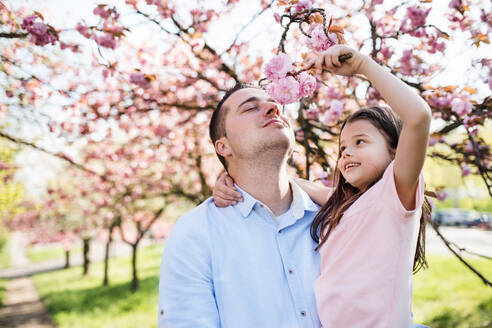 Ein junger Vater hält seine kleine Tochter draußen in der Natur im Frühling. - HPIF26503