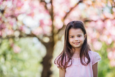 A cheerful small girl standing outside in spring nature, looking at camera. - HPIF26508