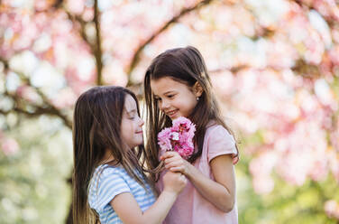 Zwei kleine Mädchen stehen draußen in der frühlingshaften Natur und halten Blumen. Kopierraum. - HPIF26509