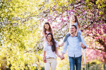 Familie junger Eltern mit kleinen Töchtern beim Spaziergang in der Natur im Frühling. - HPIF26516