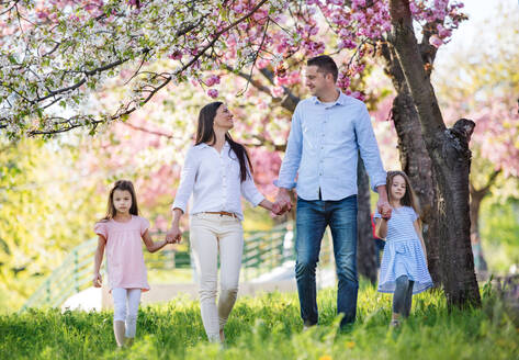 Vorderansicht von jungen Eltern mit kleinen Töchtern, die draußen in der frühlingshaften Natur spazieren gehen und sich an den Händen halten. - HPIF26518