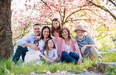 Vorderansicht einer dreiköpfigen Familie, die draußen in der frühlingshaften Natur sitzt und in die Kamera schaut. - HPIF26523