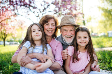 Ältere Großeltern mit Enkeltöchtern sitzen draußen in der Natur und schauen in die Kamera. - HPIF26528
