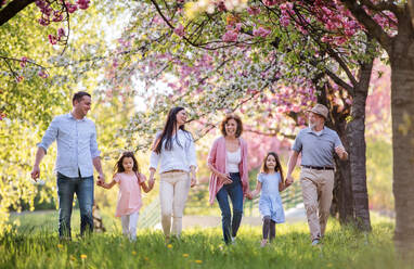 Drei-Generationen-Familie, die im Frühling in der Natur spazieren geht und sich an den Händen hält. - HPIF26532