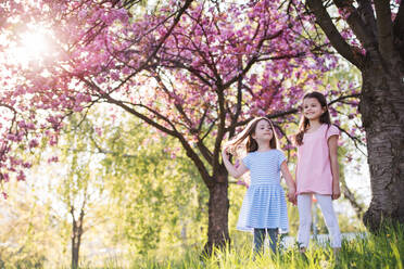 Two small girls standing outside in spring nature, talking. Copy space. - HPIF26540