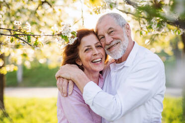 Beautiful senior couple in love on a walk outside in spring nature under blossoming trees, hugging. - HPIF26556