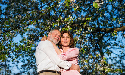 Frontansicht des schönen älteren Paares in der Liebe draußen in der Natur im Frühling in der Abenddämmerung, umarmt. - HPIF26561