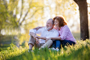 Beautiful senior couple in love sitting outside in spring nature under blossoming trees, hugging. - HPIF26568